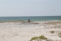 BMK - Beach 6