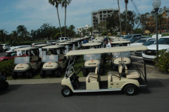 Golf RB - carts 1