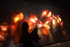 PM - Chihuly 4