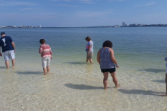 PM - Harbor cruise 1