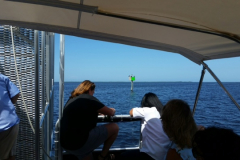 PM - Harbor cruise 3