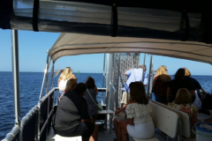 PM - Harbor cruise 4