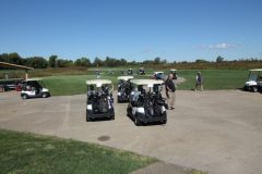 Golf-14