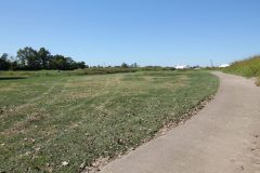 Golf-16