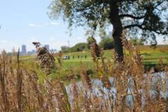 Golf-24