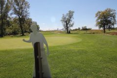 Golf-25